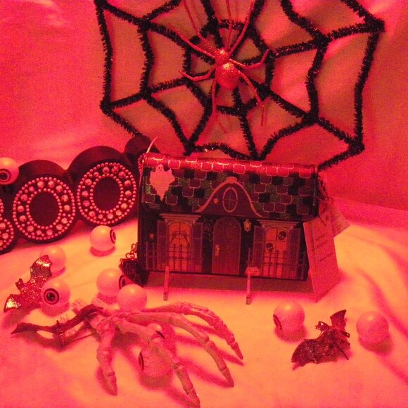 Betsey Johnson Forever Home Wallet On Chain Crossbody Bag Halloween WOC NWT - Picture 11 of 14